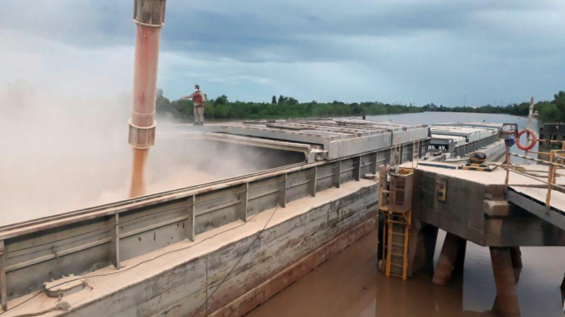 El gobierno exige nuevos requisitos para las exportaciones de maíz