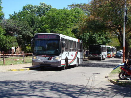 colectivos.jpg