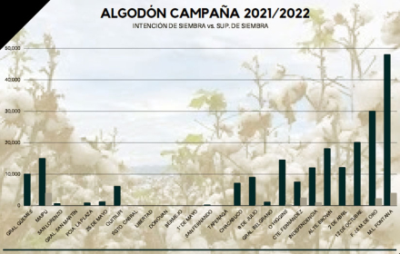 Campaña-Algodon.jpg