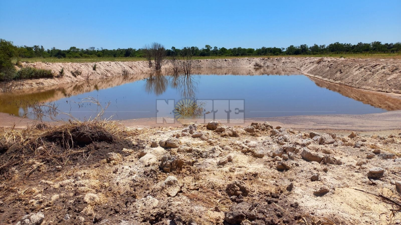 Investigan contaminación de represa en zona rural entre Charata y Pinedo
