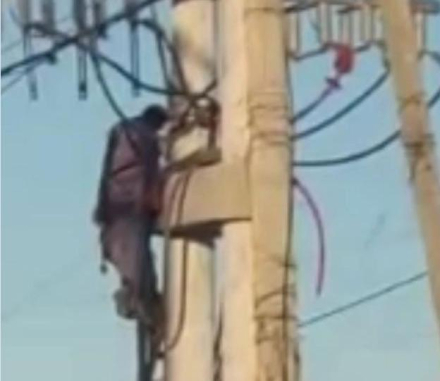 electro.jpg copy