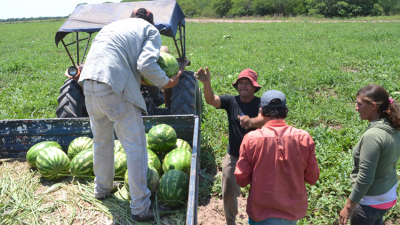 La frutihorticultura se viene potenciando en el Chaco