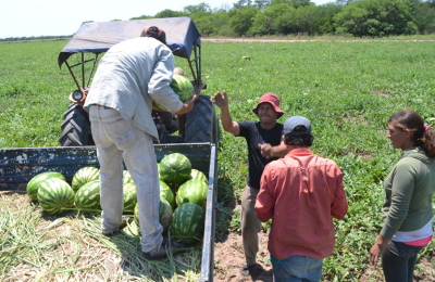 La frutihorticultura se viene potenciando en el Chaco