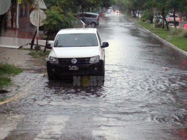 Fotos: Fabián Maldonado.