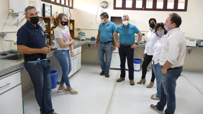 Genética en algodón: visita de Gensus al INTA Sáenz Peña