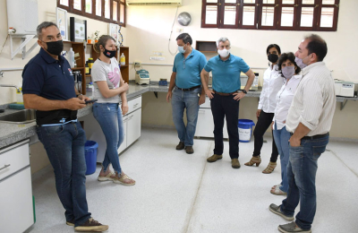 Genética en algodón: visita de Gensus al INTA Sáenz Peña