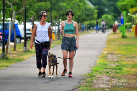 paseo.jpg
