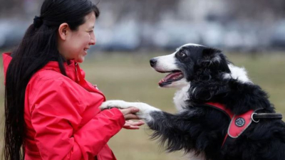 ¿Micsoda? El cerebro de los perros distingue el español del húngaro, según un estudio