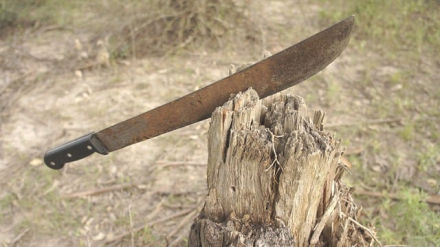 Machete.jpg