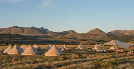campamento de lujo03.jpg