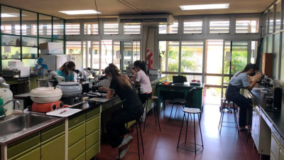Enfermedades desatendidas, genética del algodón y uso de la tierra, temas que necesitan investigarse