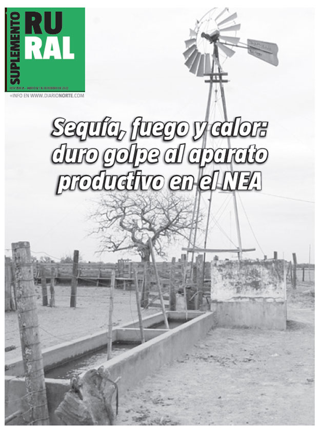 Sequía, fuego y calor: duro golpe al aparato productivo en el NEA