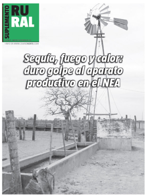 Sequía, fuego y calor: duro golpe al aparato productivo en el NEA