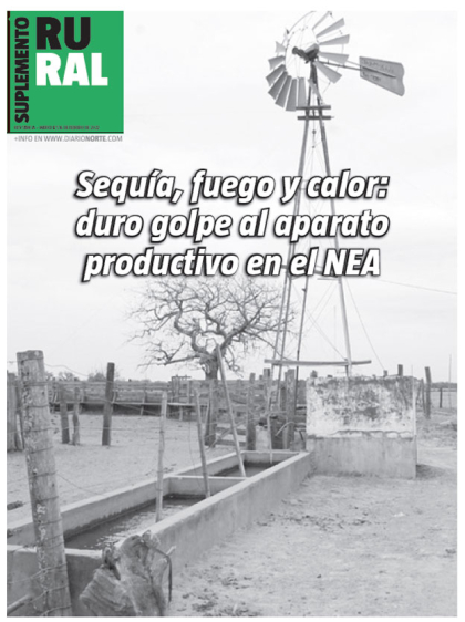Sequía, fuego y calor: duro golpe al aparato productivo en el NEA