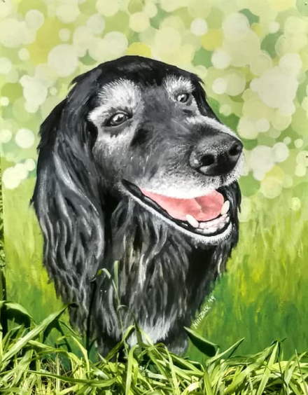 Retrato de mascota.jpg