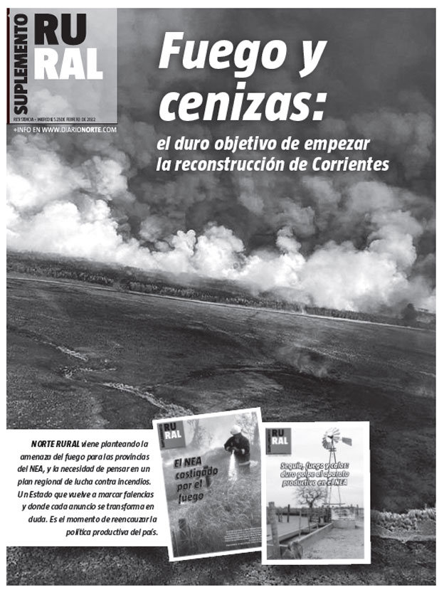 Fuego y cenizas: el duro objetivo de empezar la reconstrucción de Corrientes