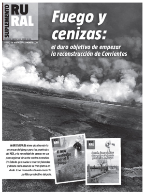 Fuego y cenizas: el duro objetivo de empezar la reconstrucción de Corrientes