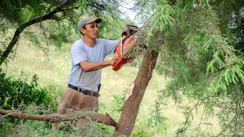 Madereros chaqueños que realizan un aprovechamiento sustentable
