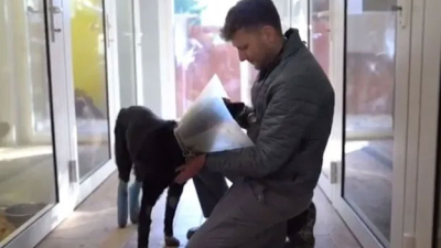 Un veterinario rescata animales heridos en plena guerra en Ucrania