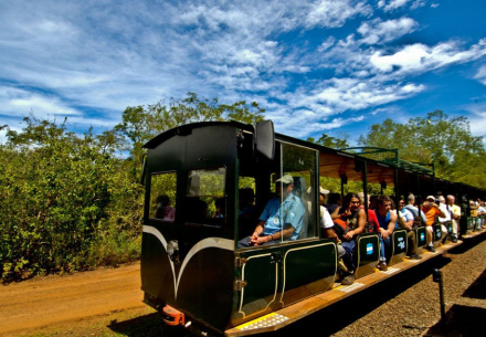 tren2.jpg