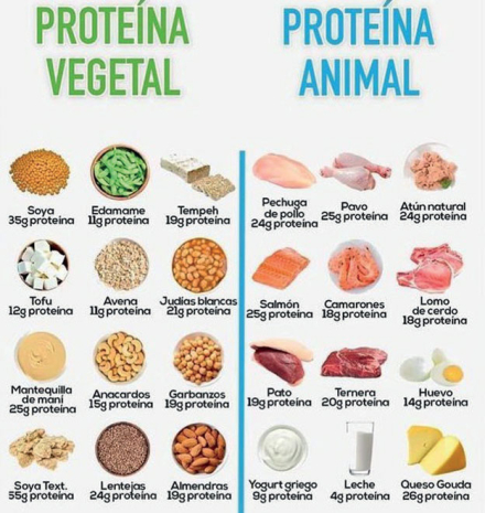 proteina2.jpg