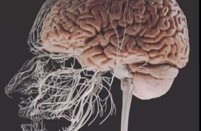 Enfoque biopsicosocial