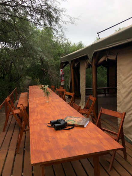 camping6.jpg