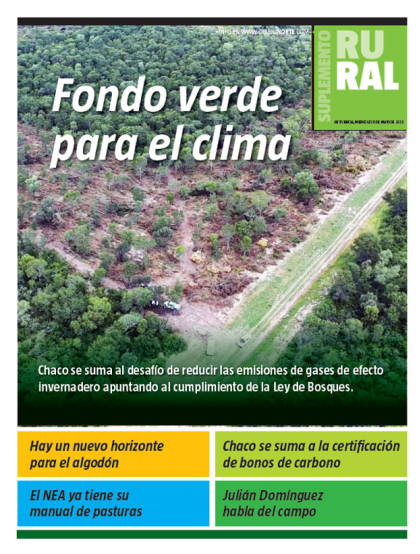 Fondo verde para el clima