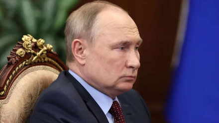 vladimir.jpg