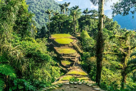 colombia3.jpg