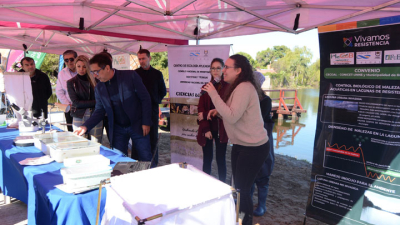 Control biológico para las malezas acuáticas en lagunas de Resistencia