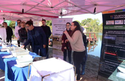 Control biológico para las malezas acuáticas en lagunas de Resistencia