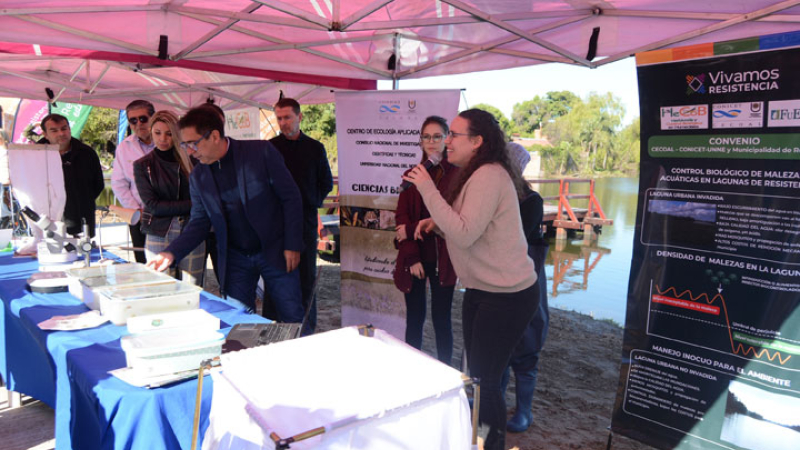 Control biológico para las malezas acuáticas en lagunas de Resistencia
