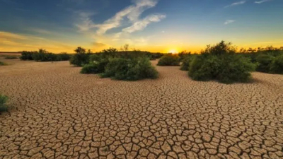Día Mundial de Lucha contra la Desertificación y la Sequía