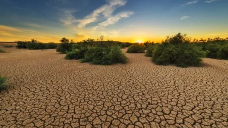 Día Mundial de Lucha contra la Desertificación y la Sequía