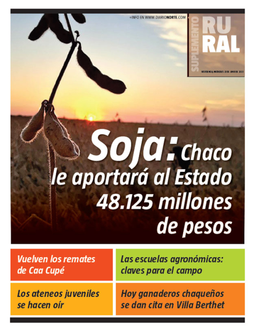 Soja: Chaco le aportará al Estado 48.125 millones de pesos