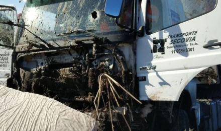 camionero.jpg