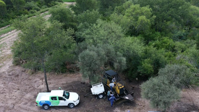 Chaco registró una reducción de desmonte de bosques nativos en 2022
