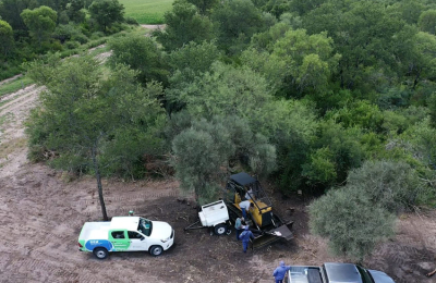 Chaco registró una reducción de desmonte de bosques nativos en 2022