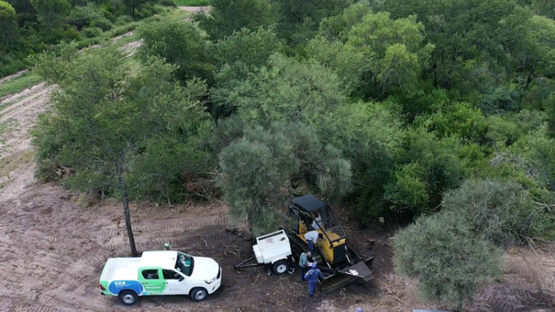 Chaco registró una reducción de desmonte de bosques nativos en 2022