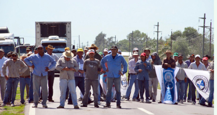 campo protesta 1.JPG