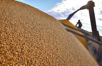 "Es una medida que no alcanza al productor, que ya vendió 80% de sus granos"