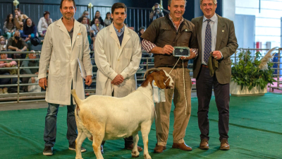 Una cabaña chaqueña fue multipremiada en La Rural