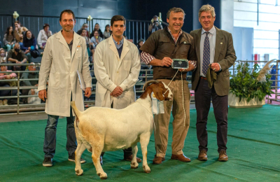 Una cabaña chaqueña fue multipremiada en La Rural