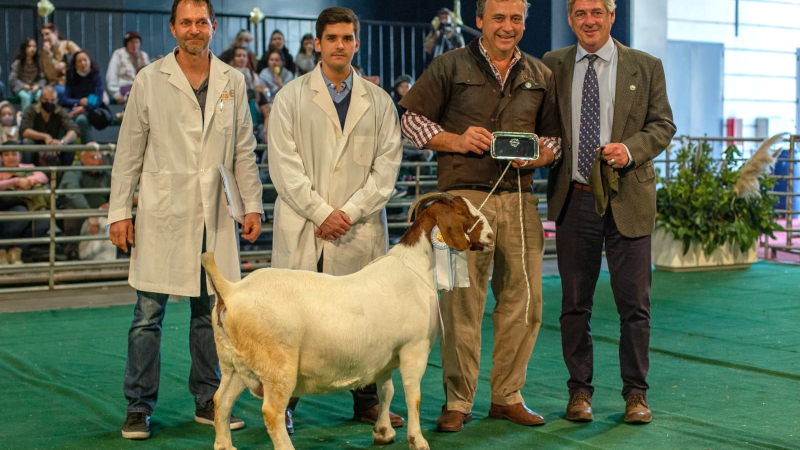 Una cabaña chaqueña fue multipremiada en La Rural