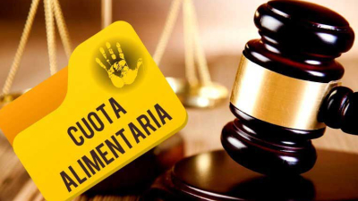 Abogados chaqueños advierten que es "avasallante" la creación de un registro nacional de deudores alimentarios