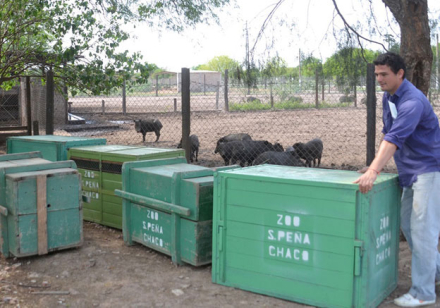 zoo.JPG