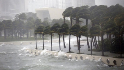 Cambio climático: especialistas advierten que Miami podría desaparecer