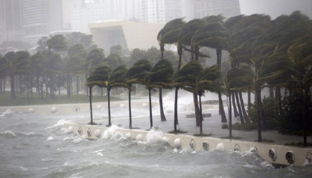 miami1.jpg