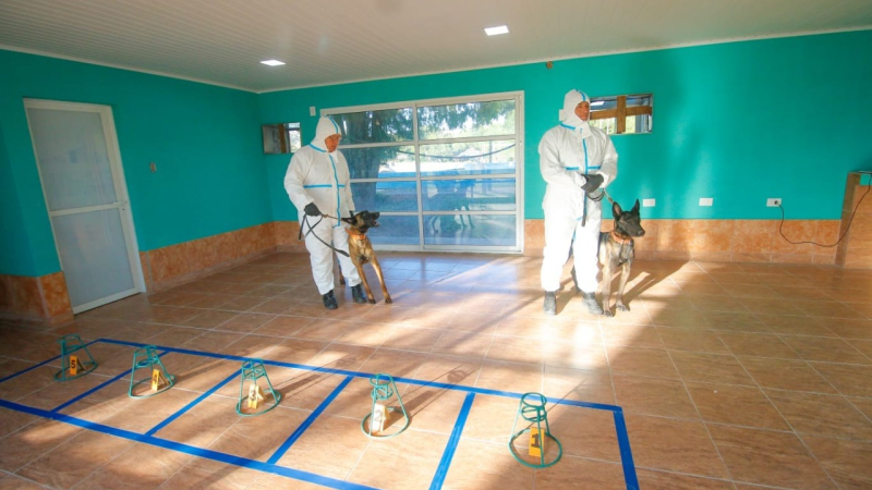Cuatro perros de la Policía del Chaco obtuvieron sus certificaciones